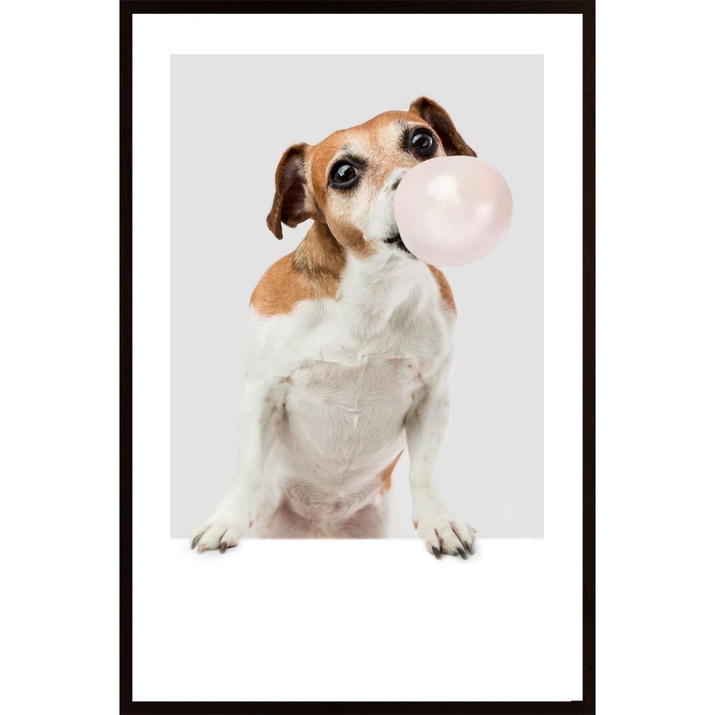 Dog Chewing Bubble Gum Poster