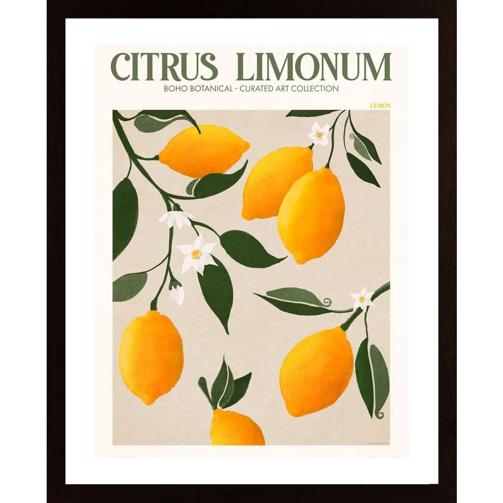 Fruit Market Lemons Plakát