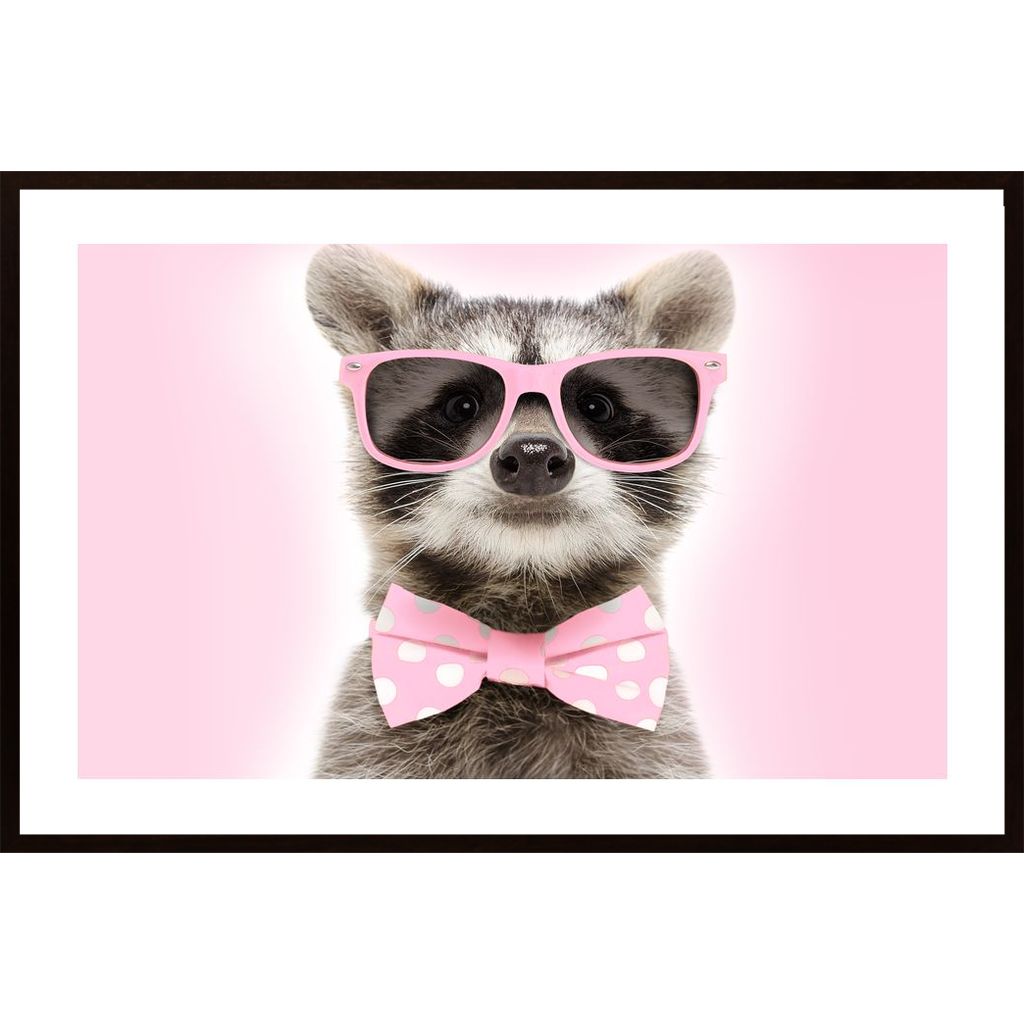 Raccoon With Pink Glasses Affiche