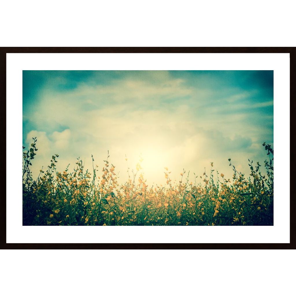 Flower With Blue Sky Poster