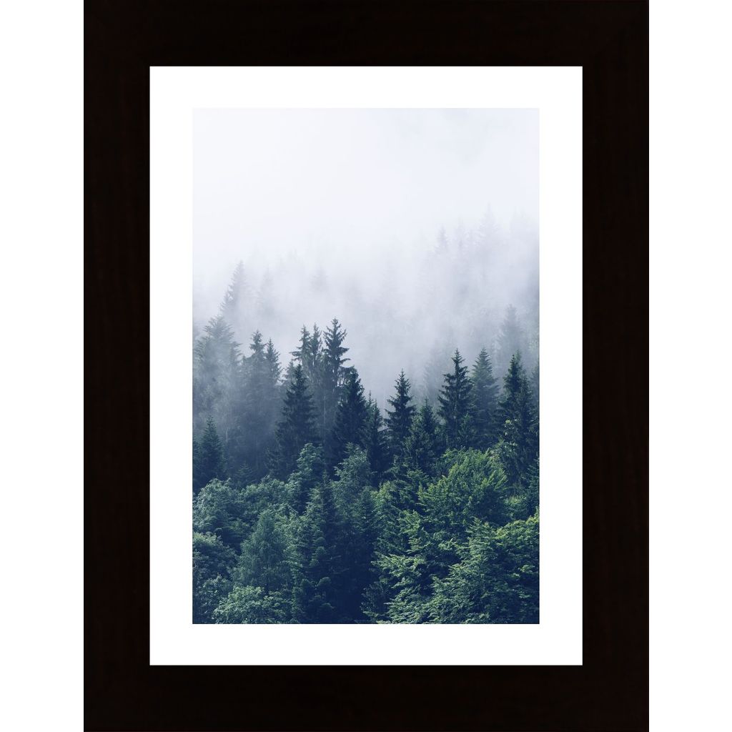 Forested Mountain Affiche