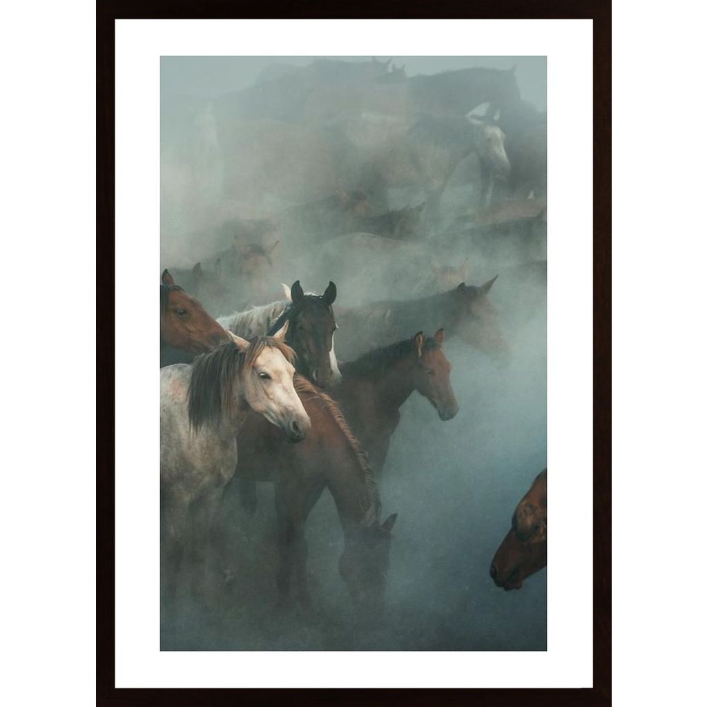 Lost Horses Poster