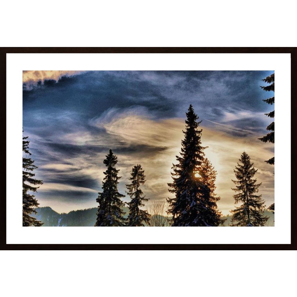 Spruces On The Background Of Mountains Poster