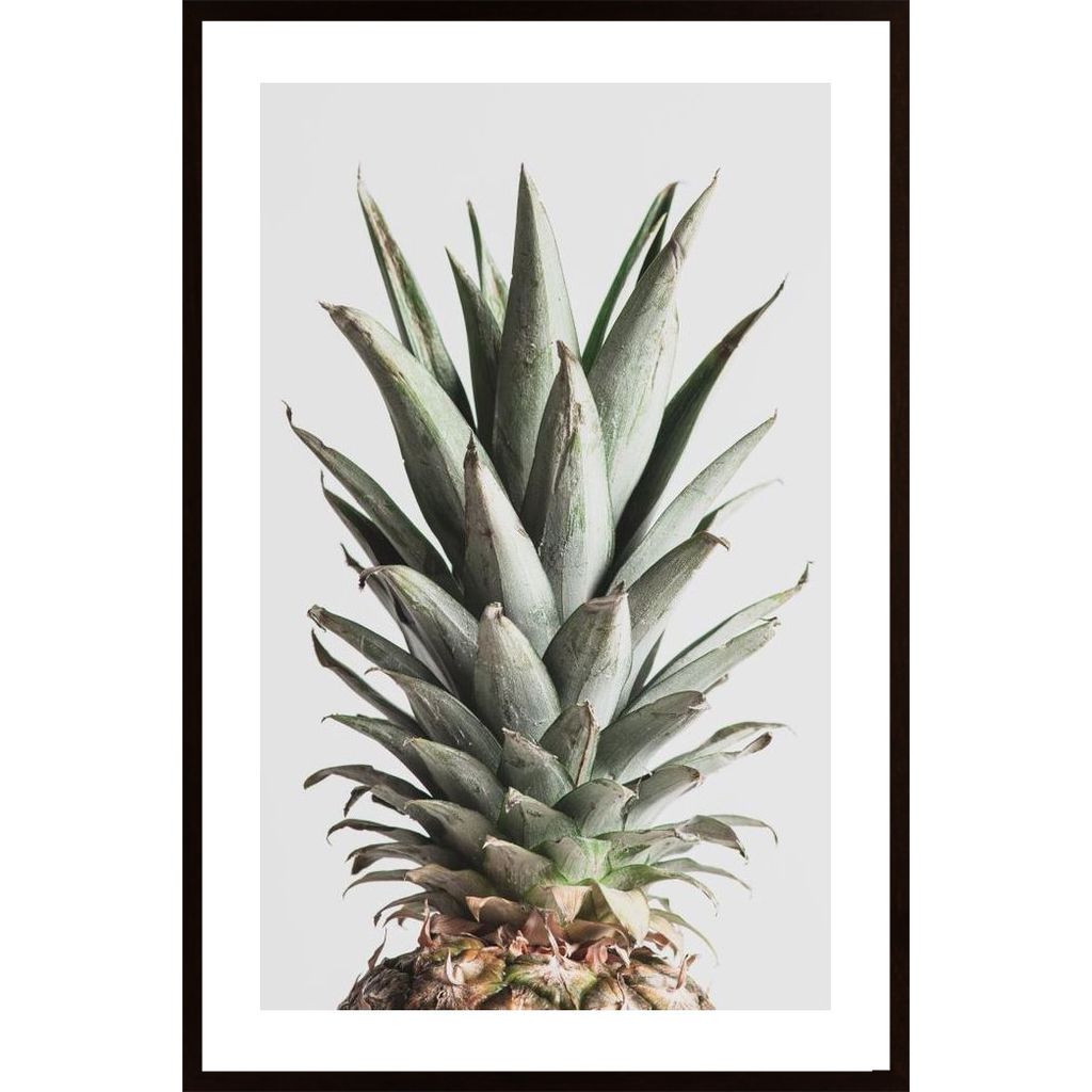 Pineapple Natural 02 Affiche