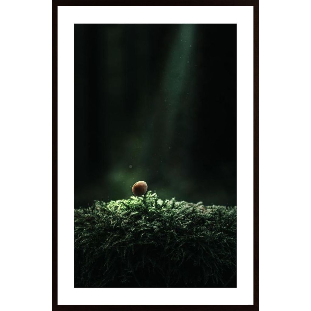 Alone In The Bog Poster