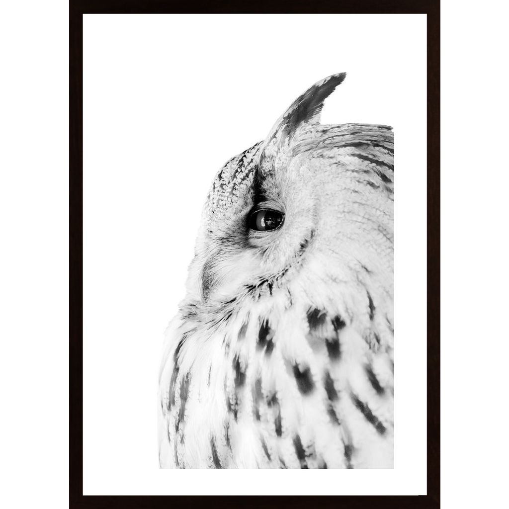 Eagle-Owl Poster