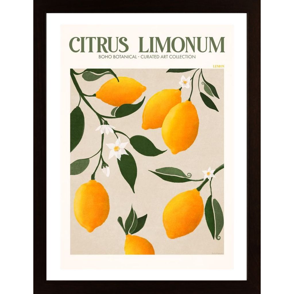 Fruit Market Lemons Poster