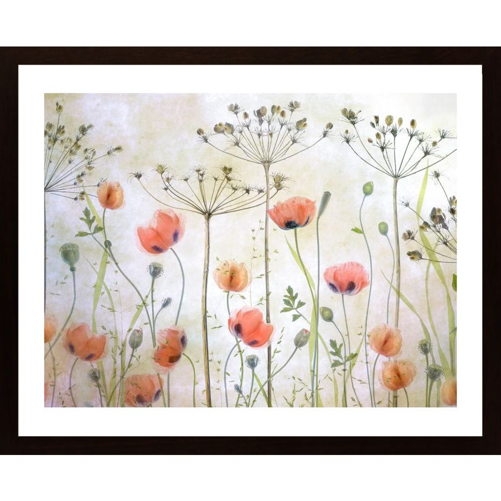 Poppy Meadow Affiche
