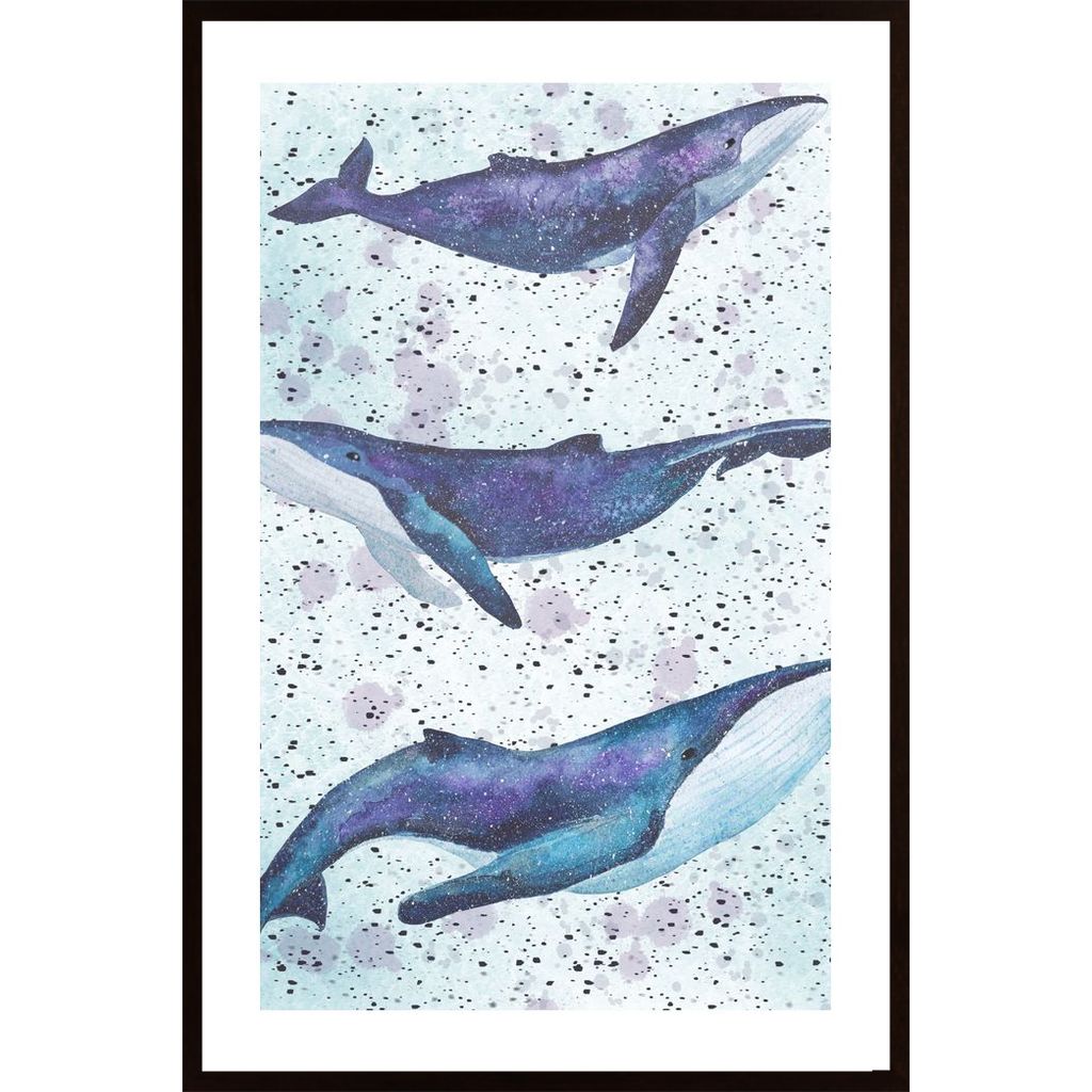 Whale Underwater Affiche