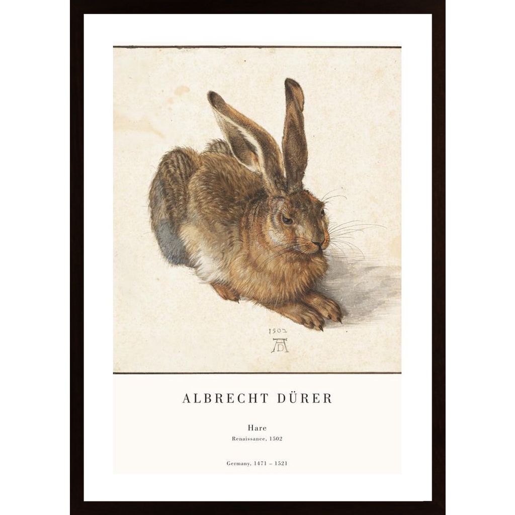 The Hare Affiche