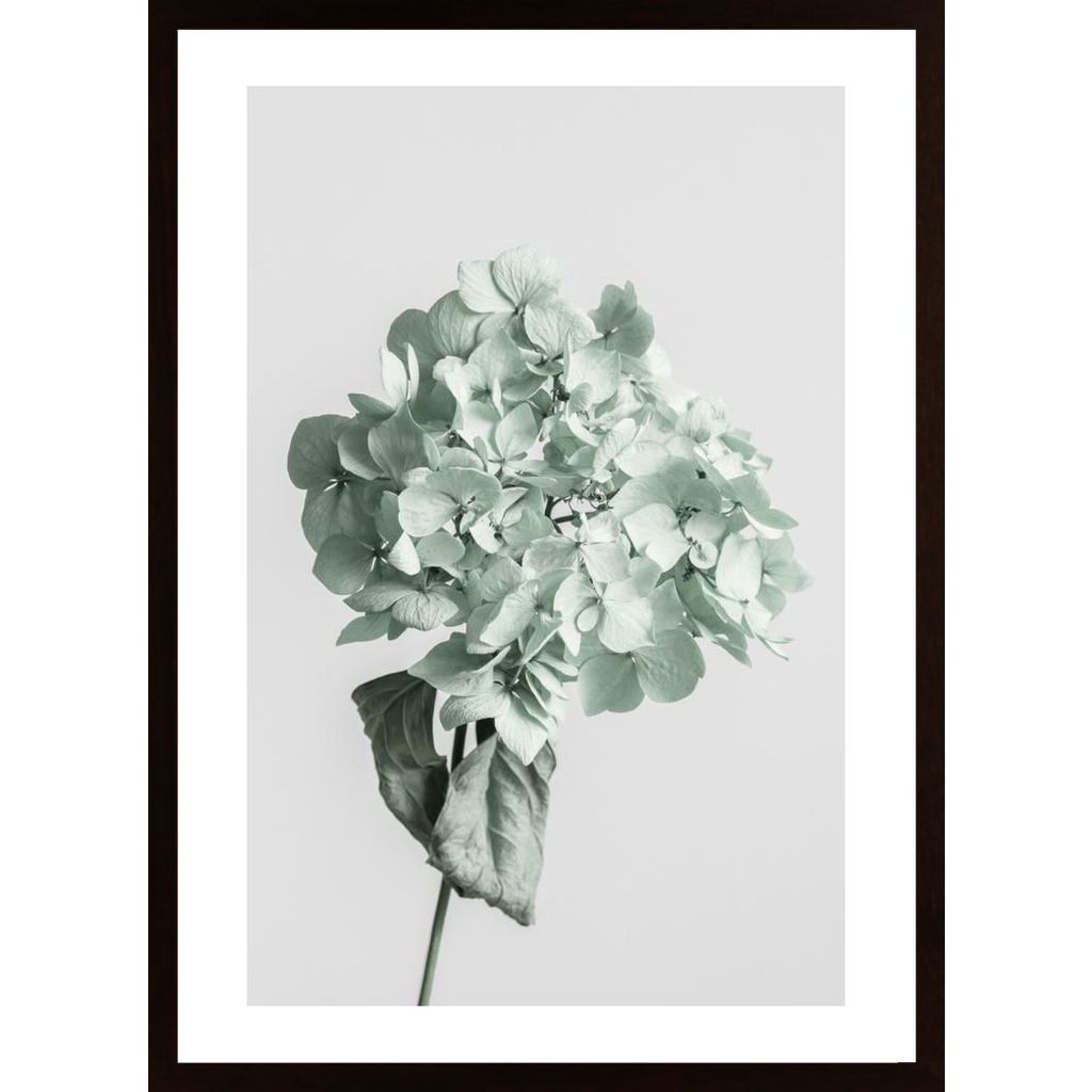 Green Dried Flower Poster