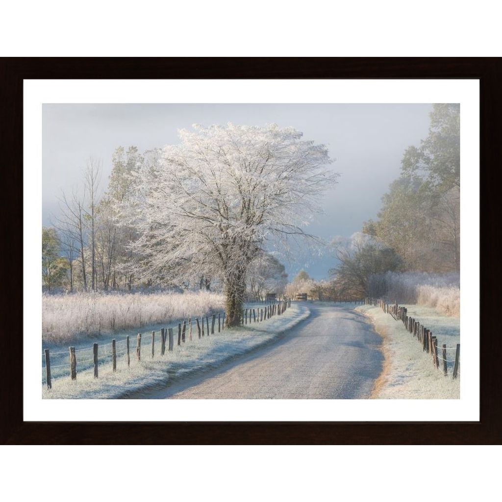 A Frosty Morning Poster
