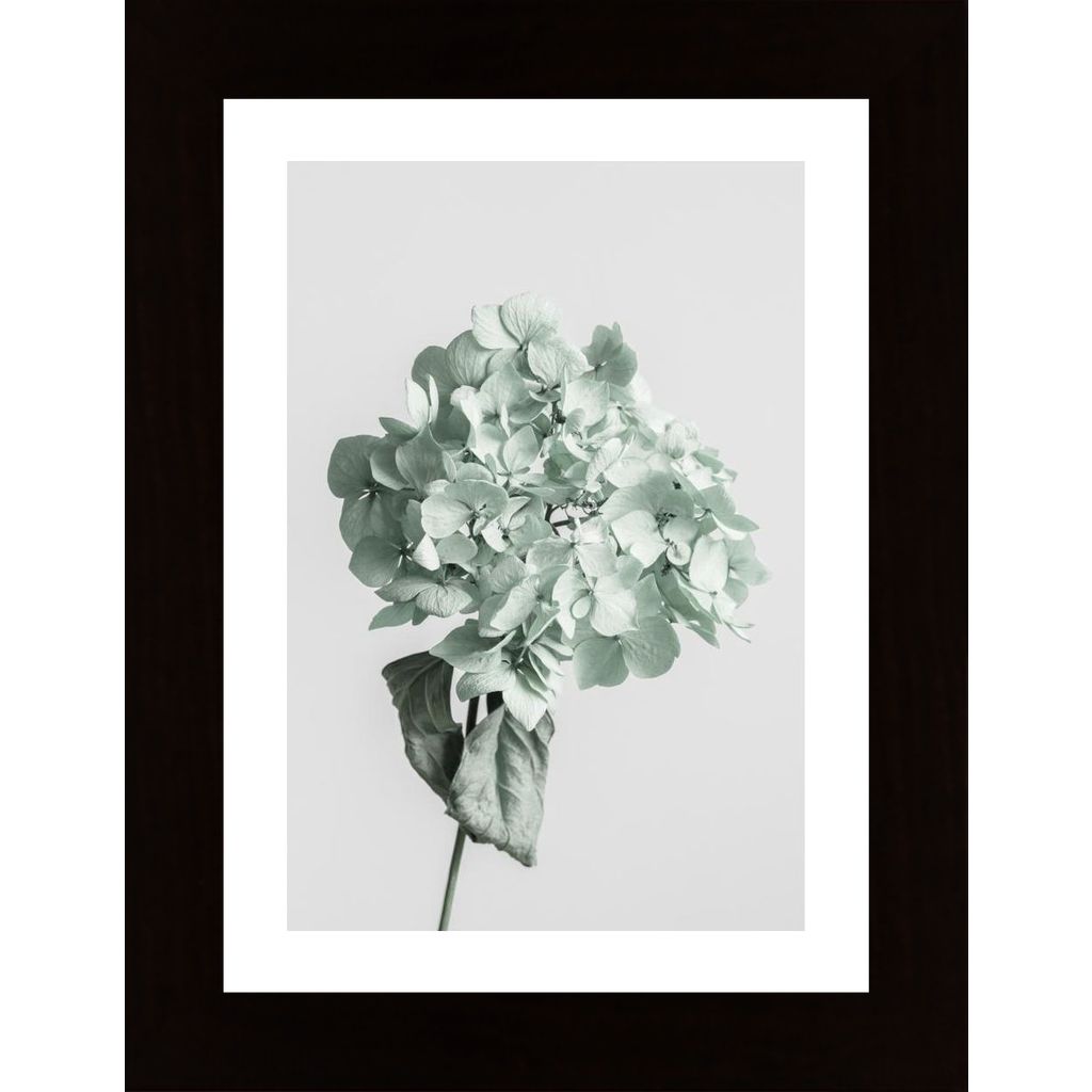 Green Dried Flower Poster