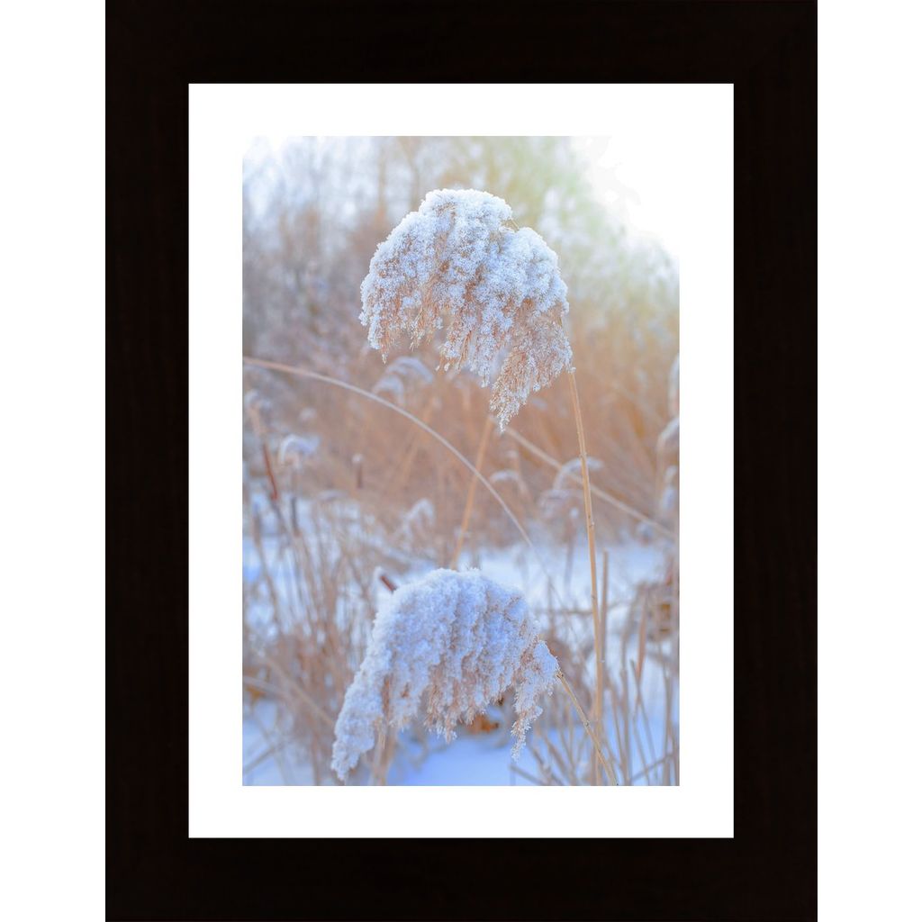 Winter Day At Sunset Poster