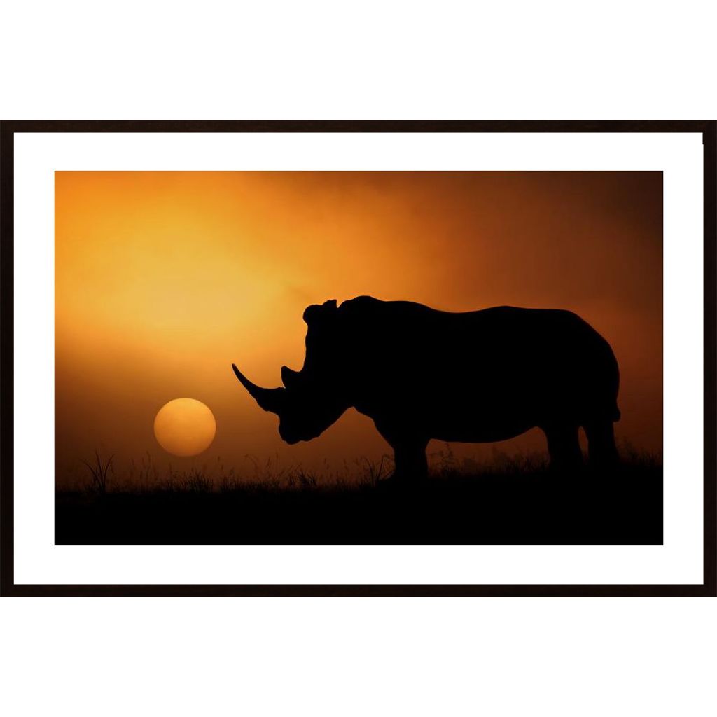 Rhino Sunrise Plakát