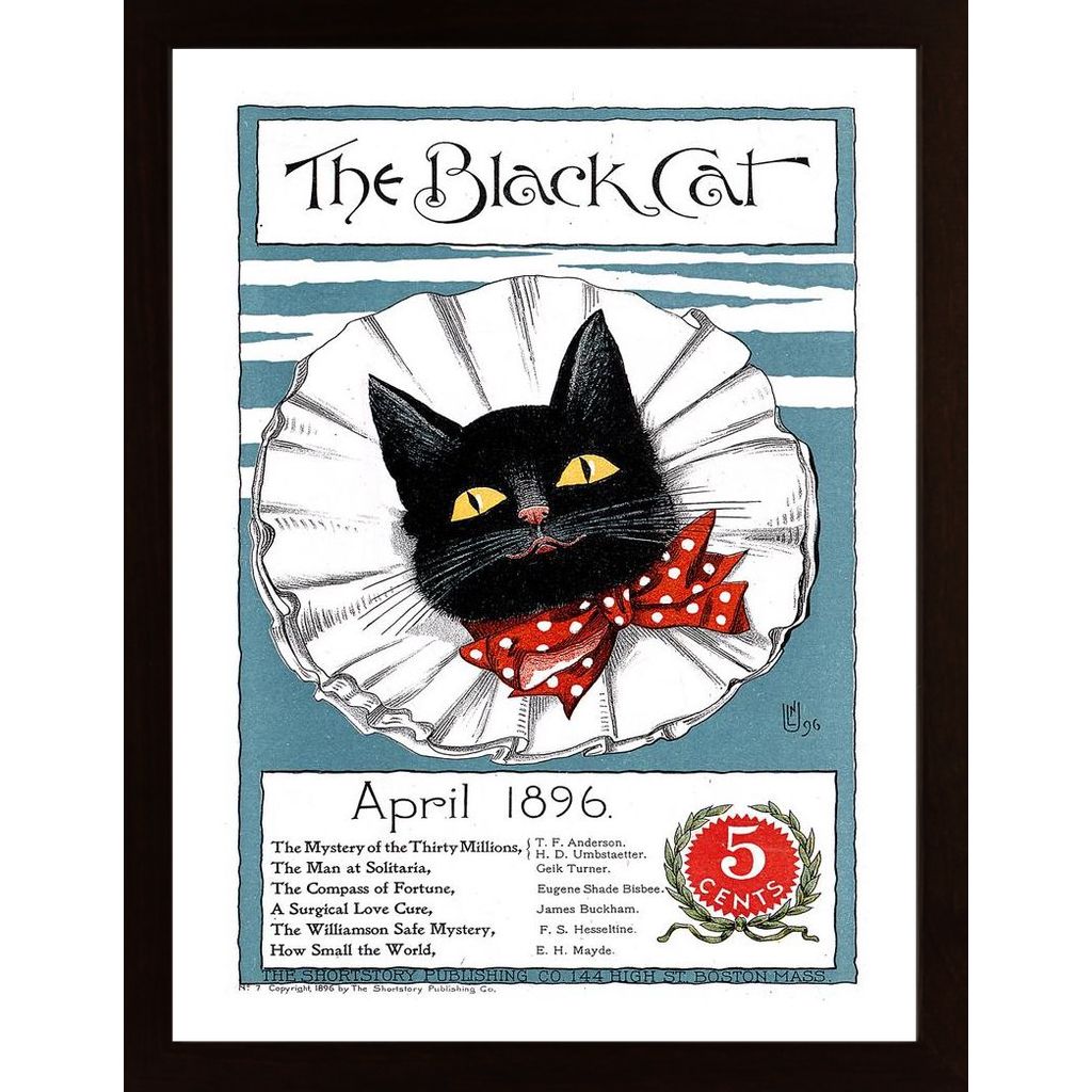 Plakat The Black Cat Plakát