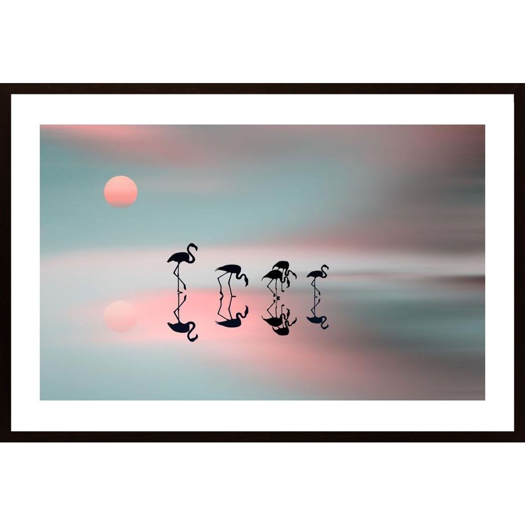 Family Flamingos Affiche