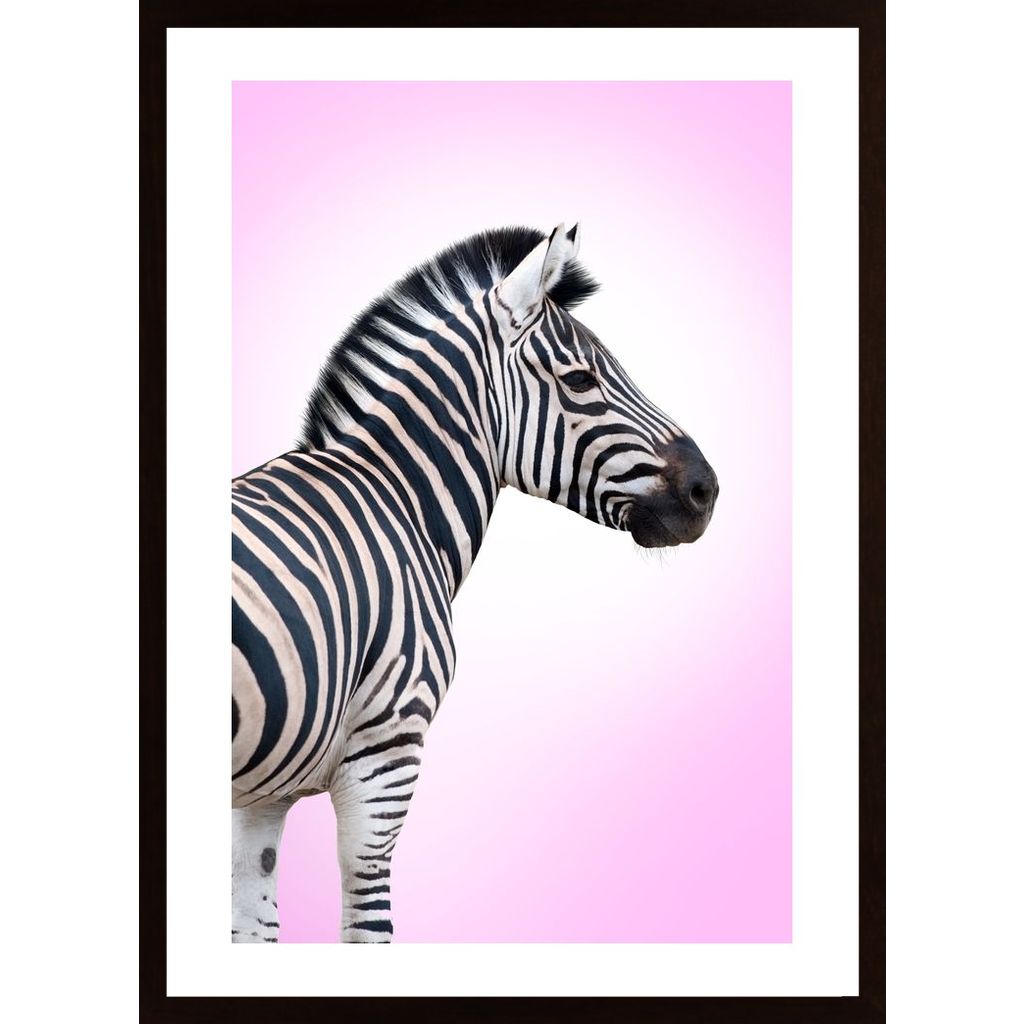 Pink Zebra Poster