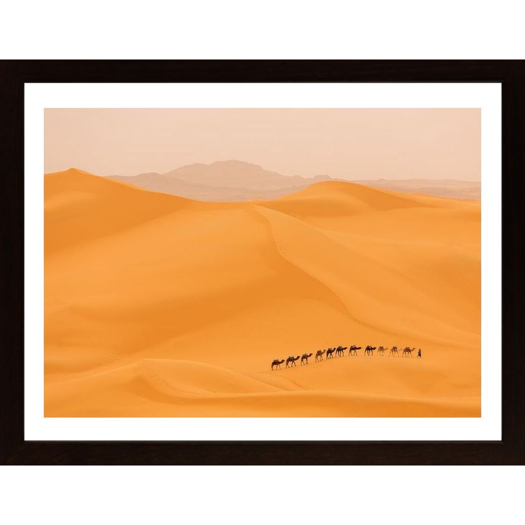 Camels Caravan In Sahara Affiche
