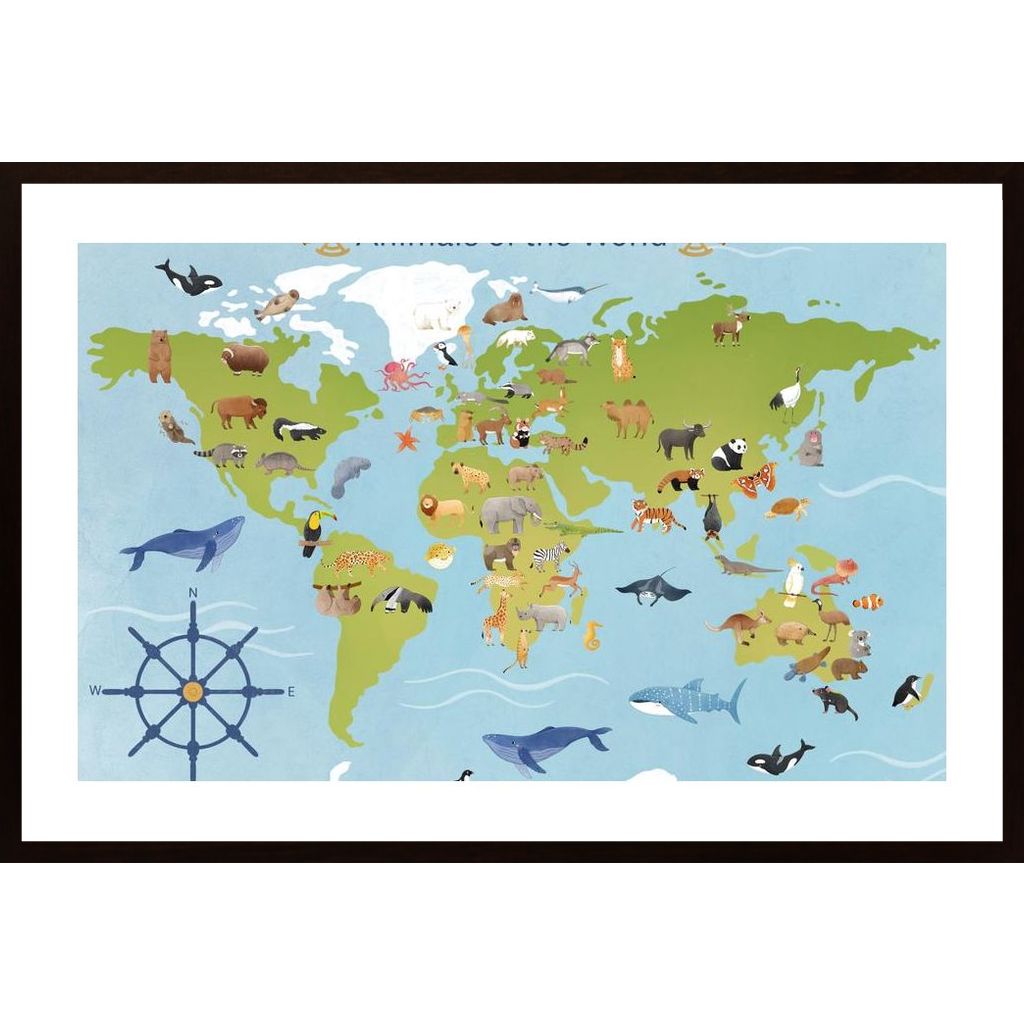 Animals Of The World Poster