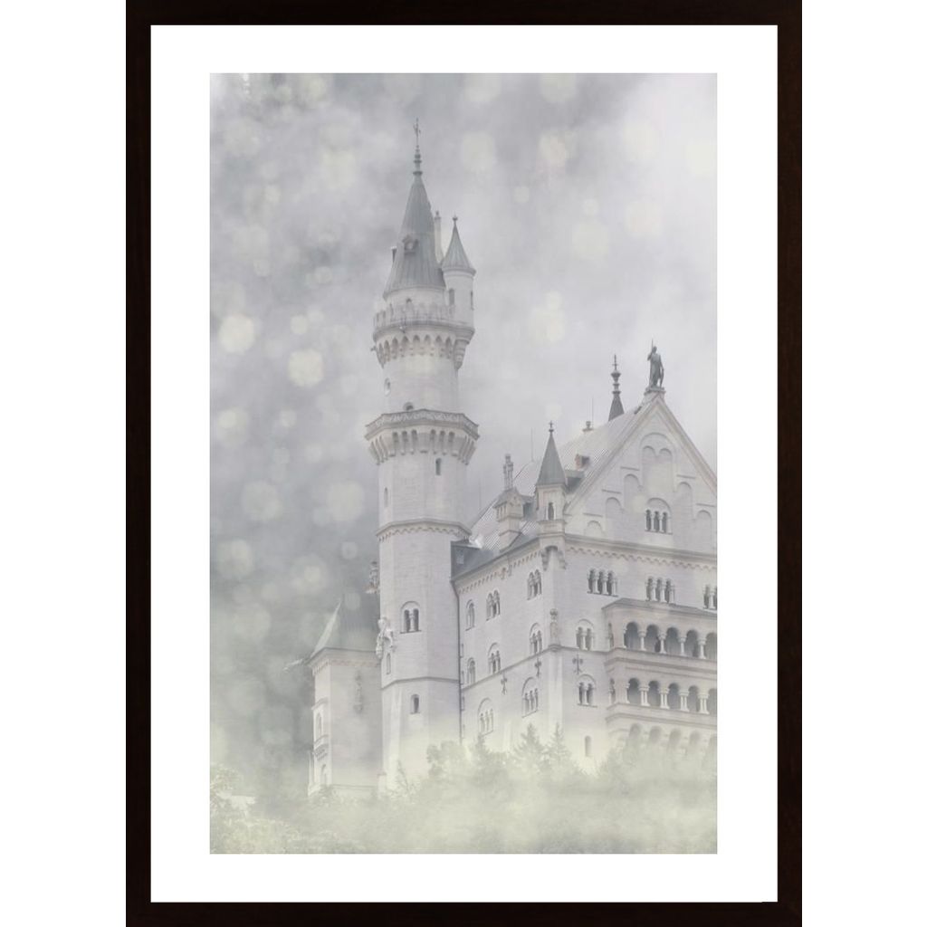 Castle In Snow Poster