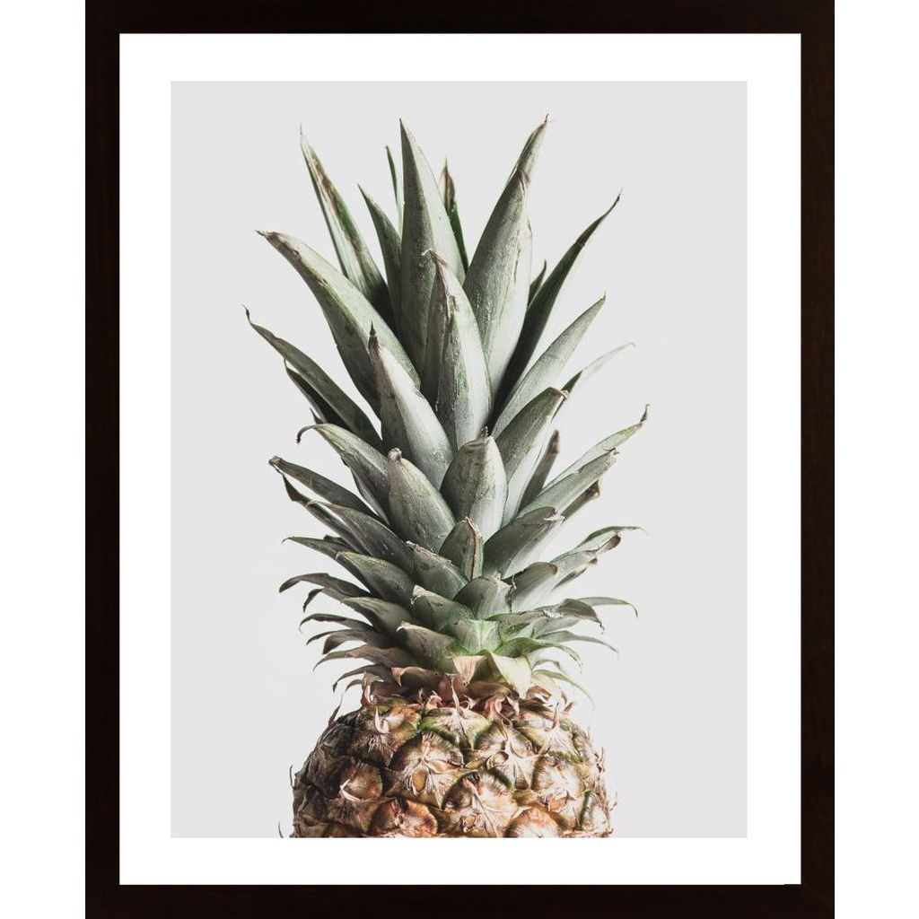 Pineapple Natural Poster
