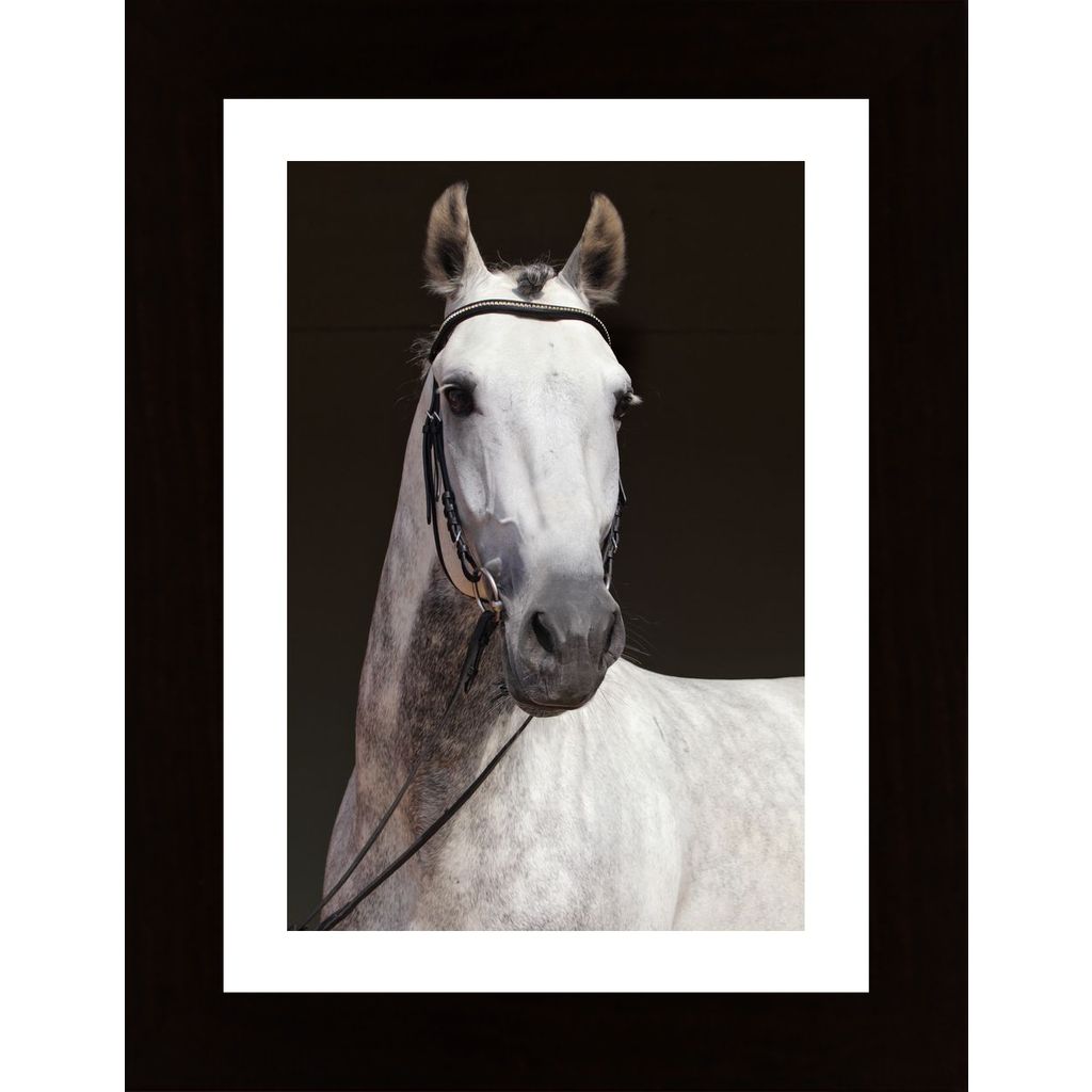 Beautiful Horse Poster