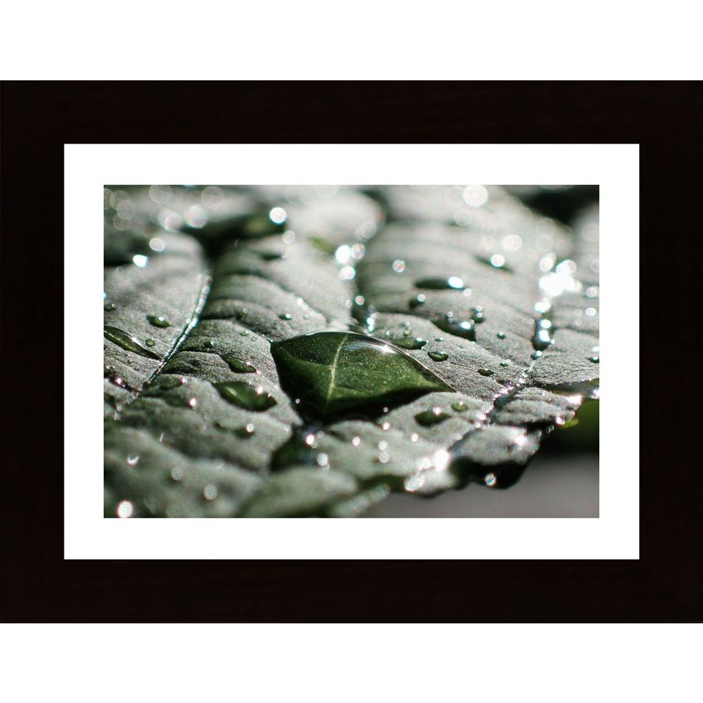 Water Drops On A Leaf 2 Plakat