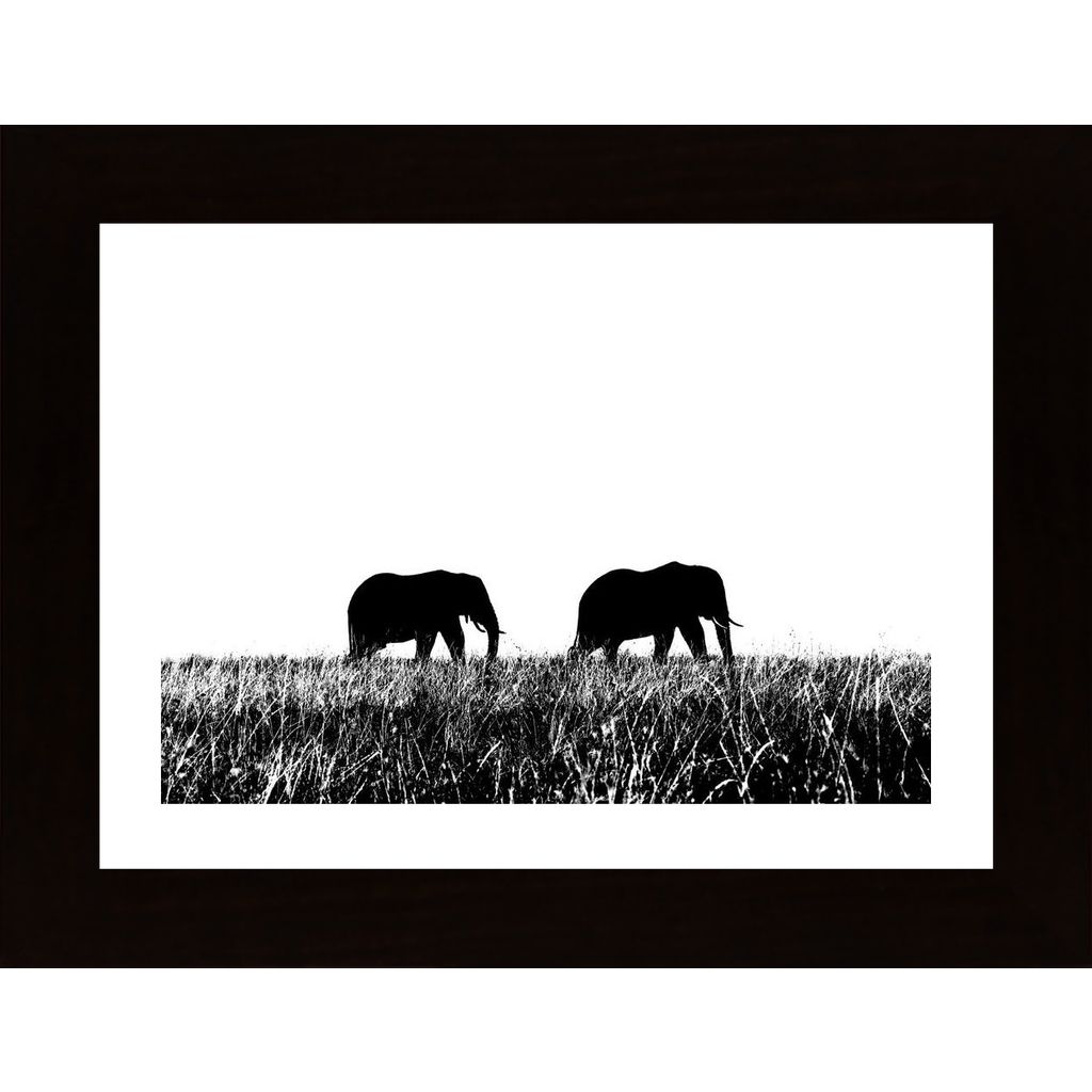 Elephants Couple Plakát