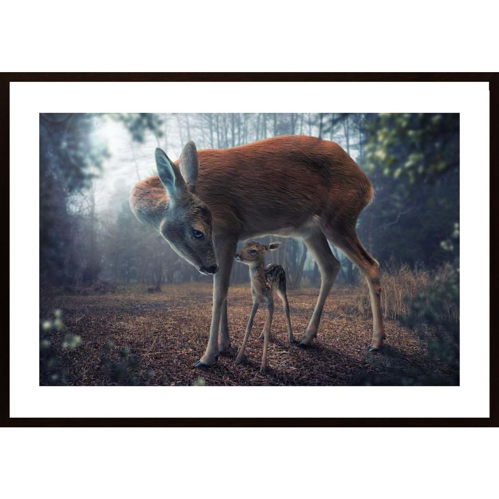 Mother And Fawn Poster
