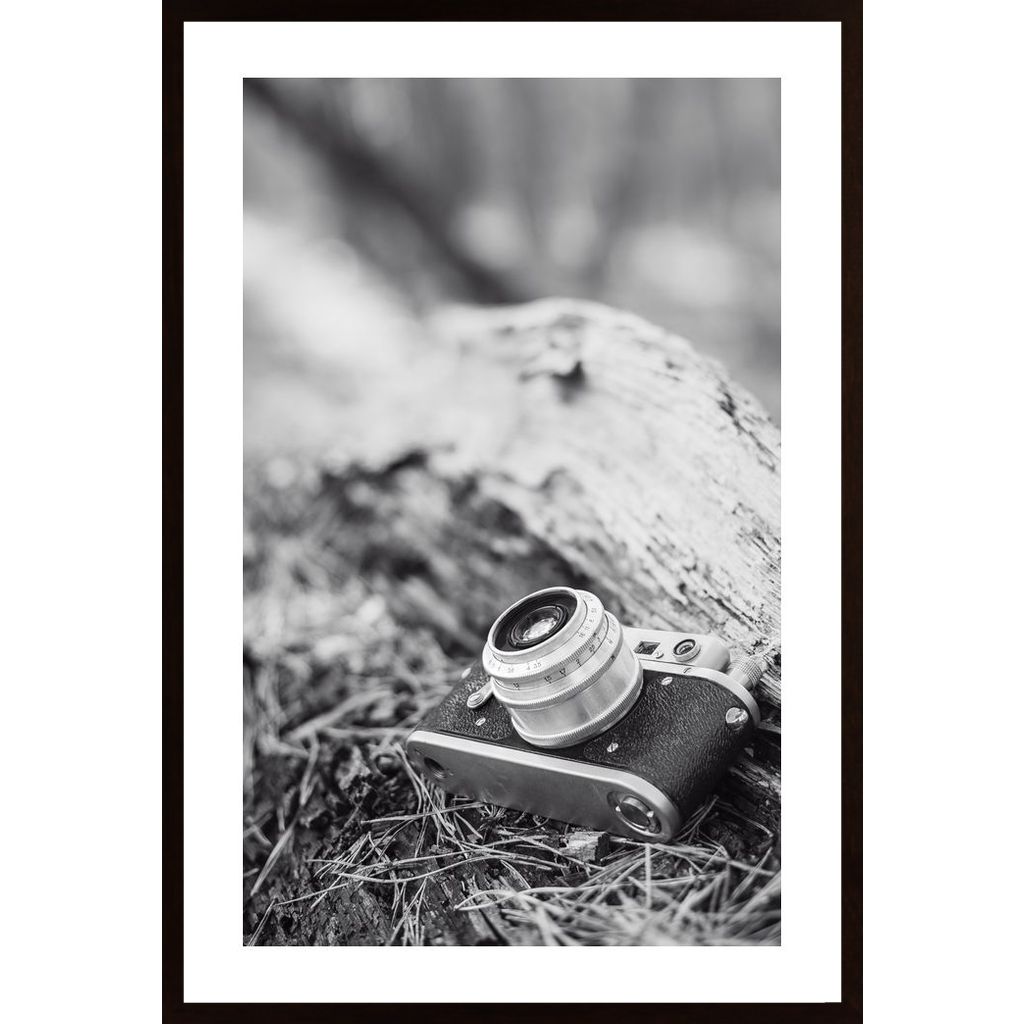 Camera In Black And White Poster