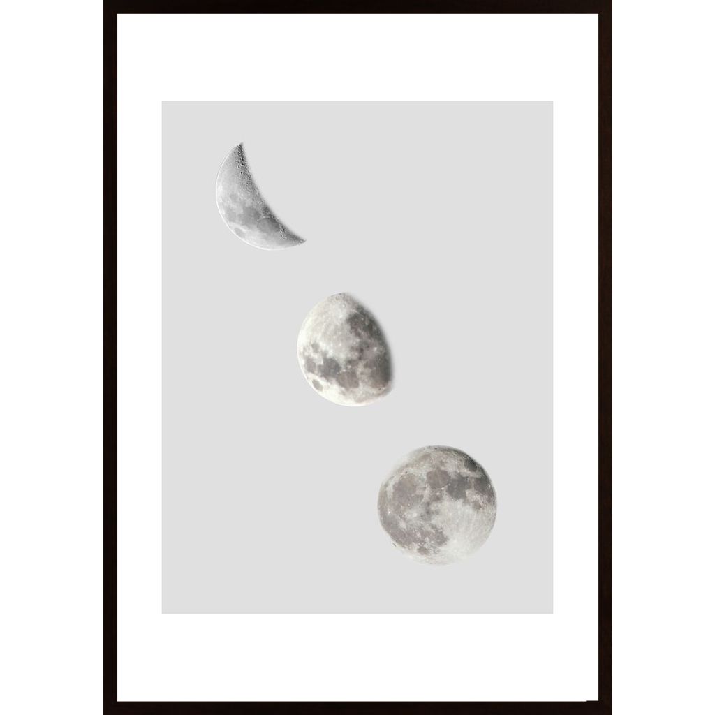 Phases Of The Moon Poster