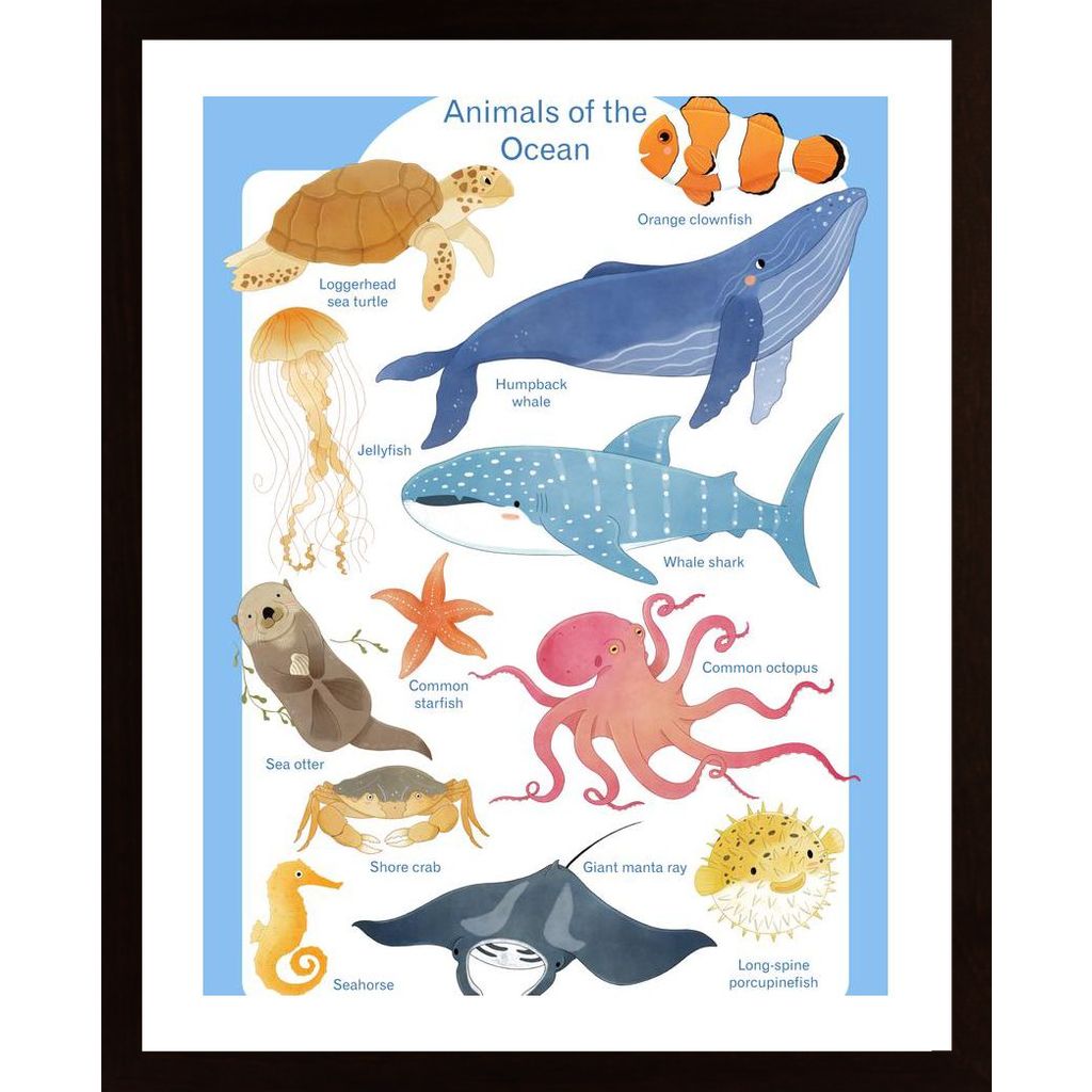 Ocean Animals Poster