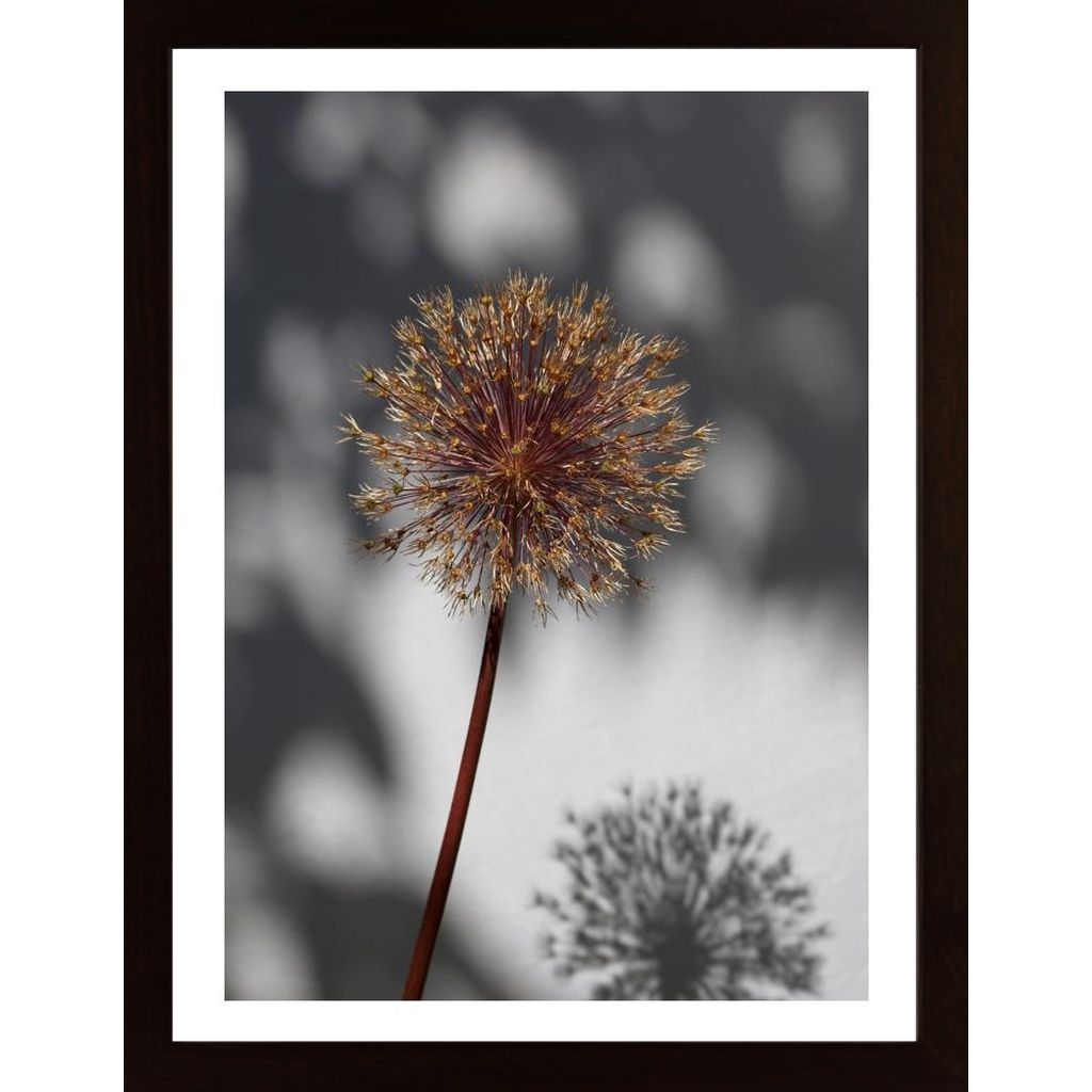 Withered Flower, Seed House 1 Poster