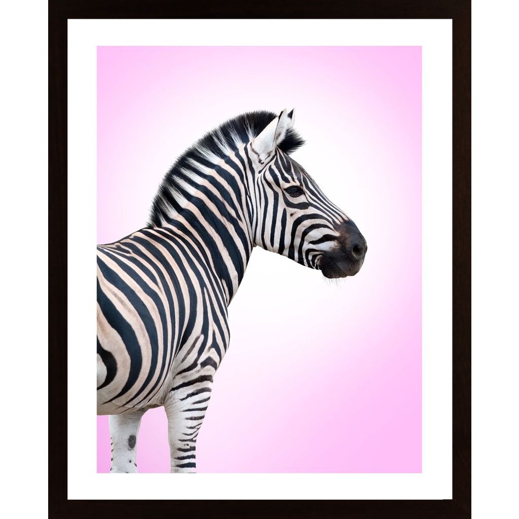 Pink Zebra Affiche