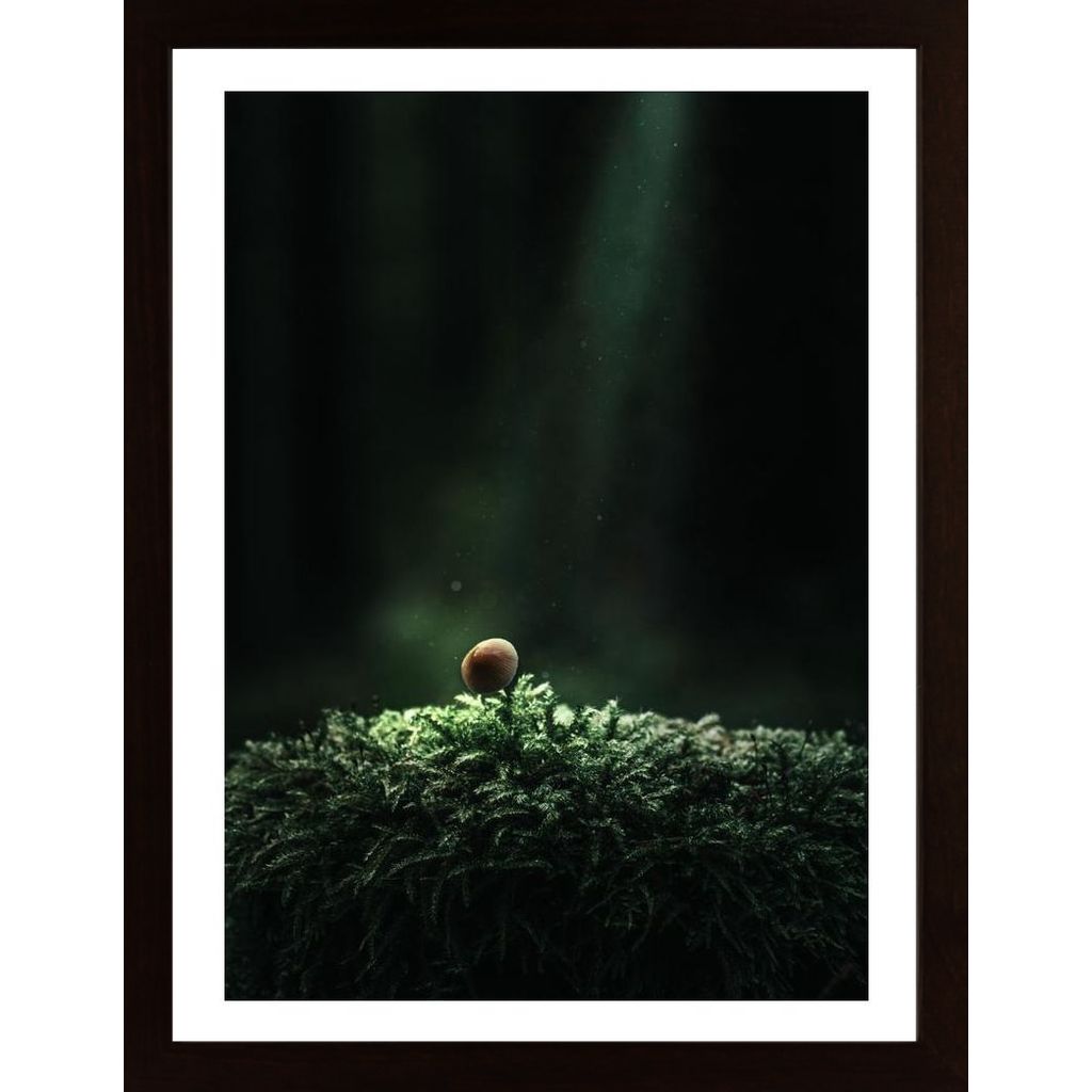 Alone In The Bog Poster