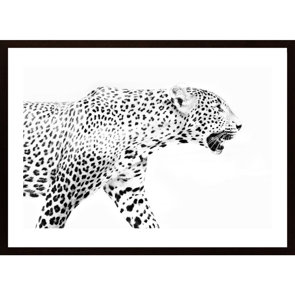 Leopard In Profile Poster