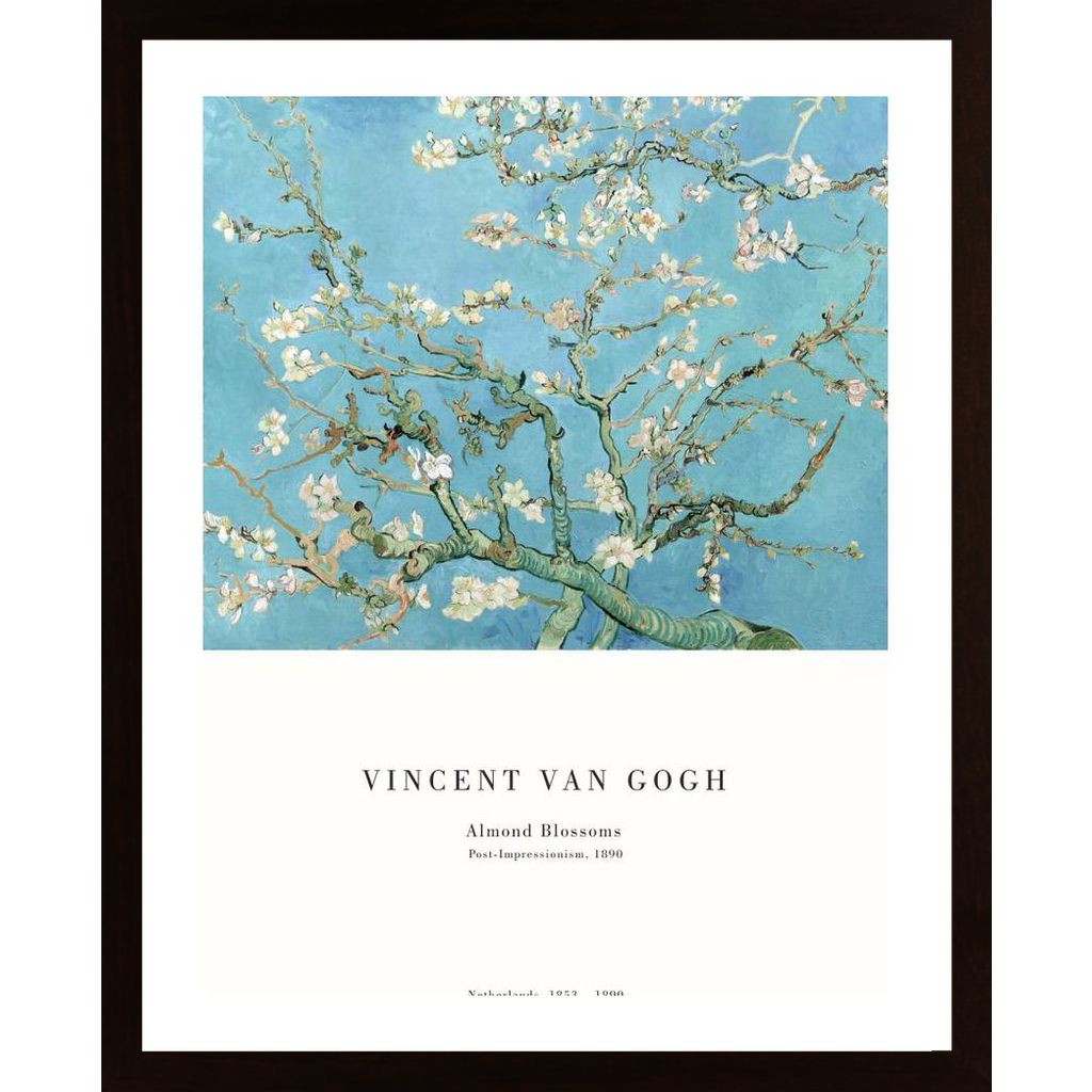Almond Blossoms Plakát