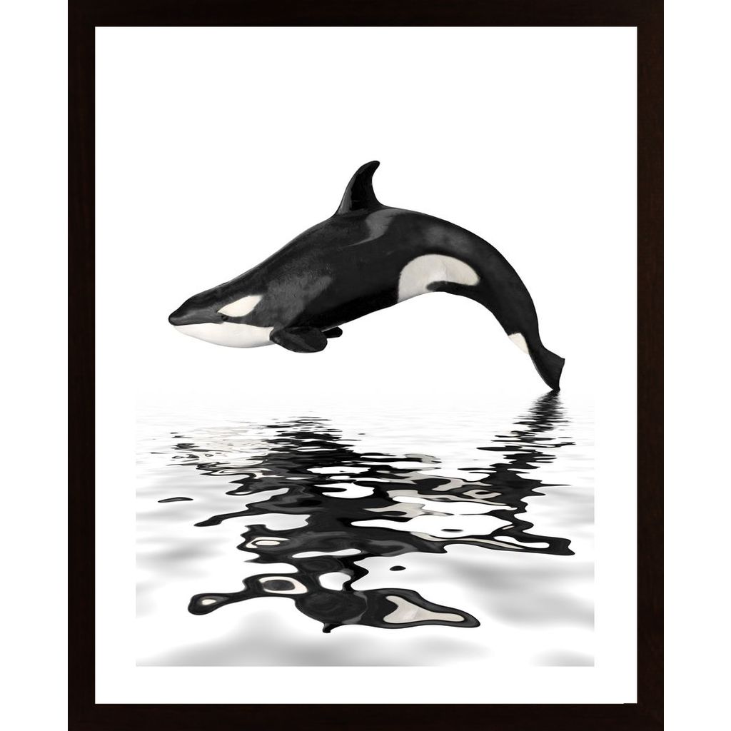 Whale With Reflection Plakat