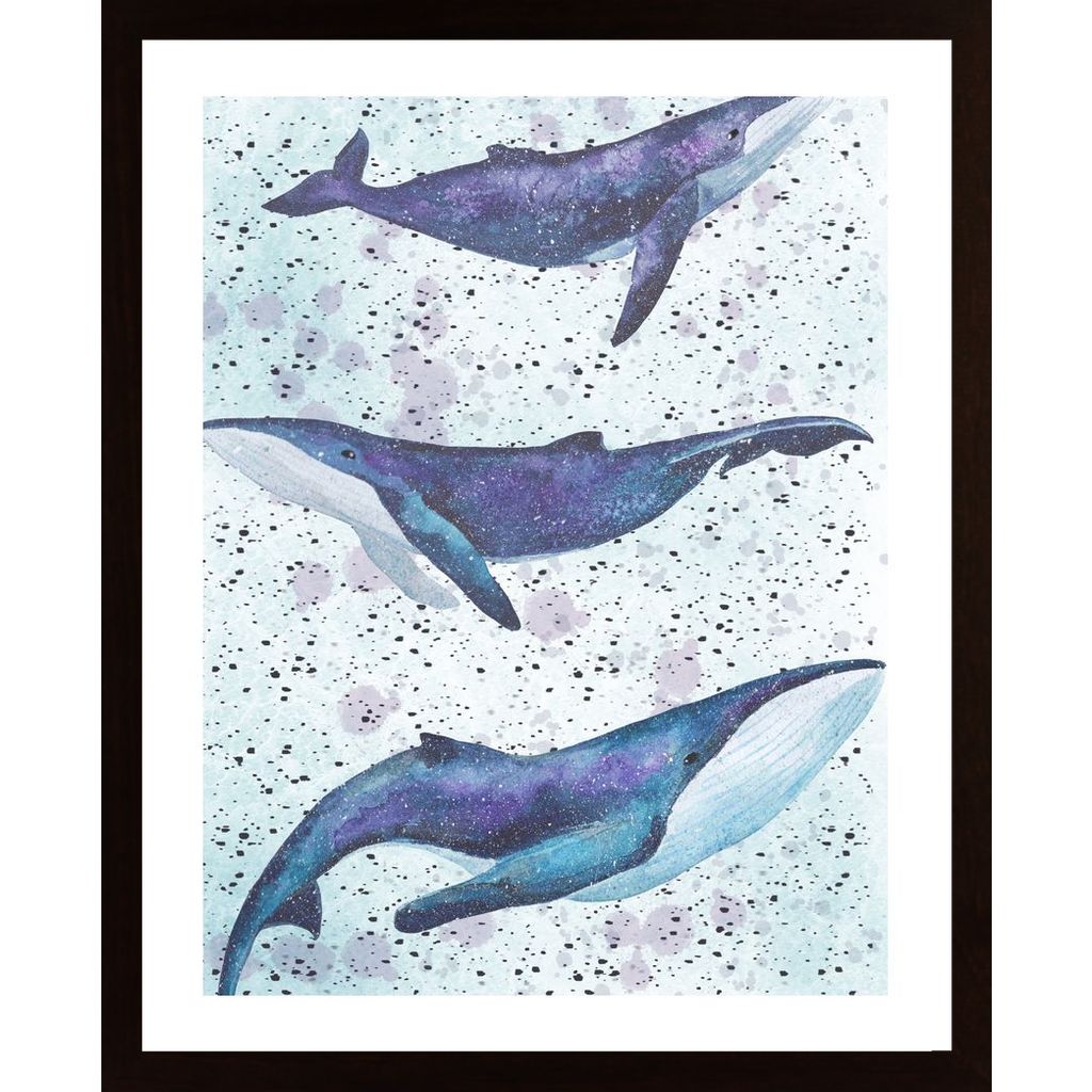 Whale Underwater Plakát