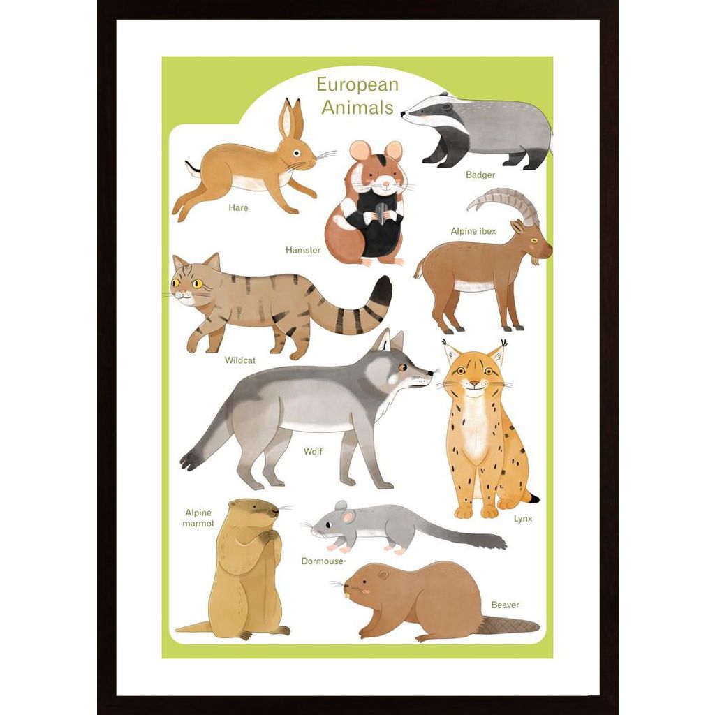 European Animals Poster