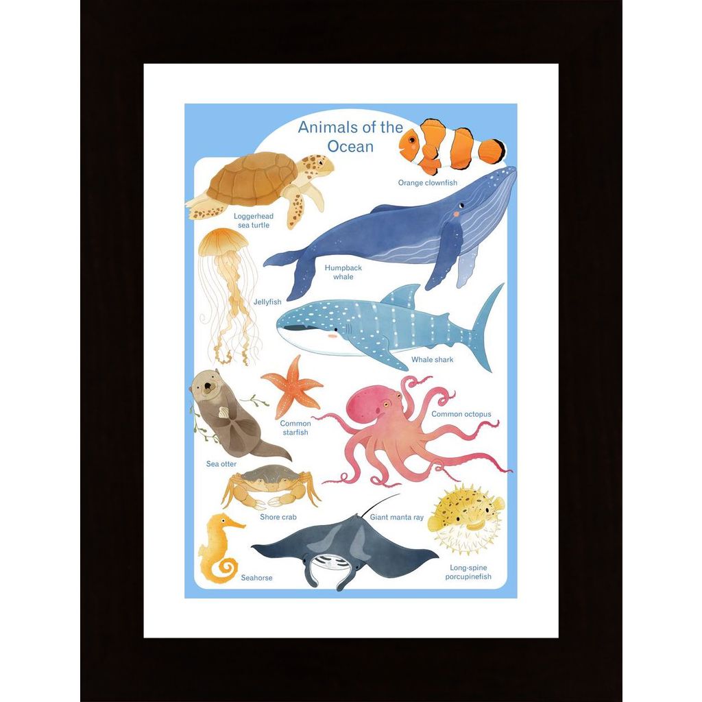 Ocean Animals Poster