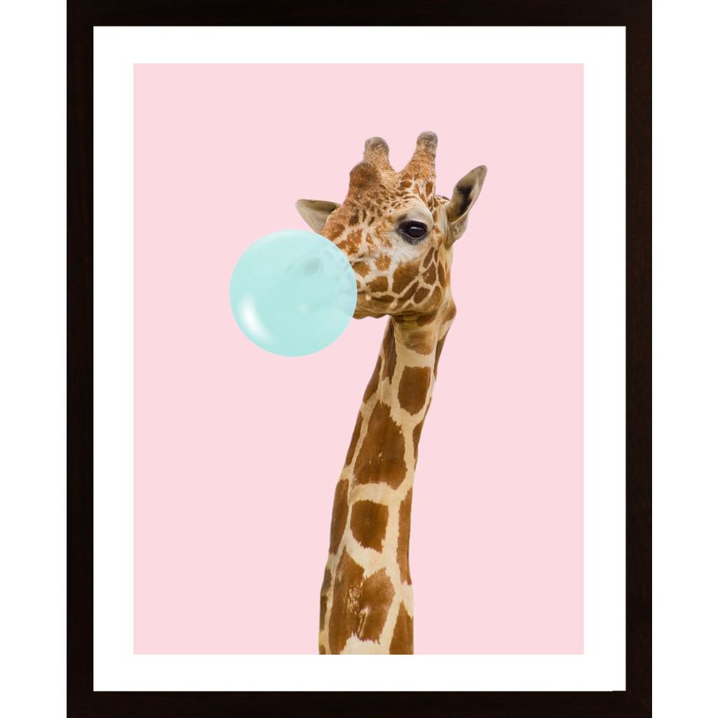 Giraffe With Bubble Gum Poster