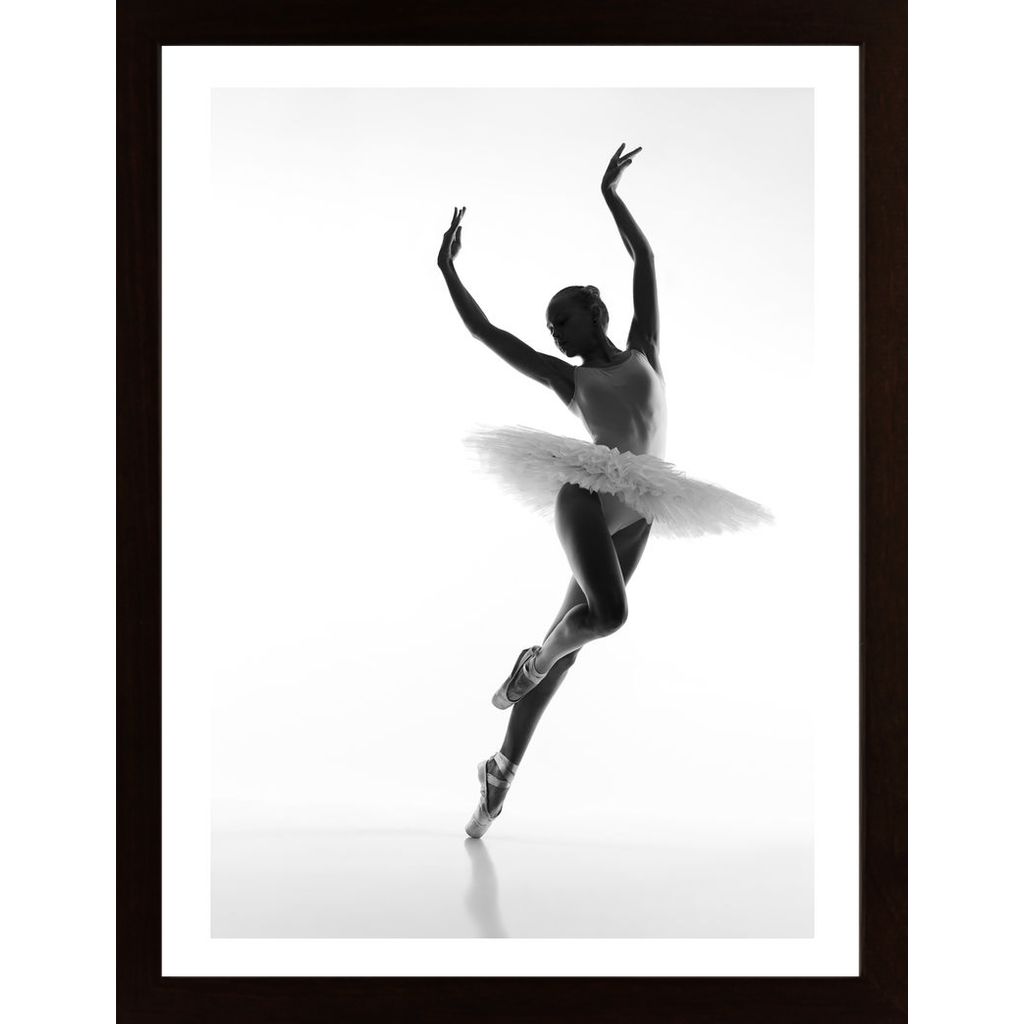 Lady Dancing Ballet Affiche