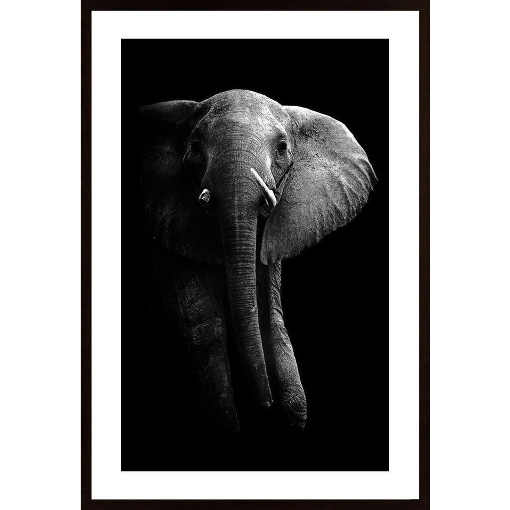 Elephant! Poster