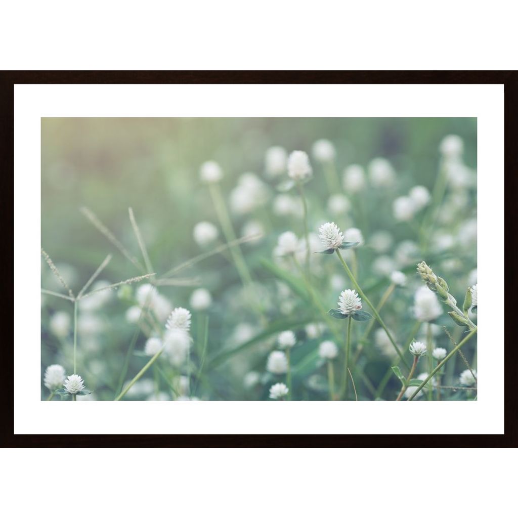 Flowering Meadow Poster