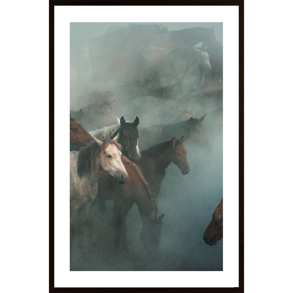Lost Horses Poster