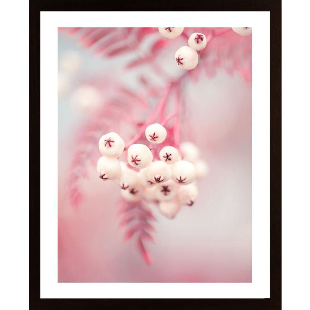 Berries On A Twig No2 Plakat