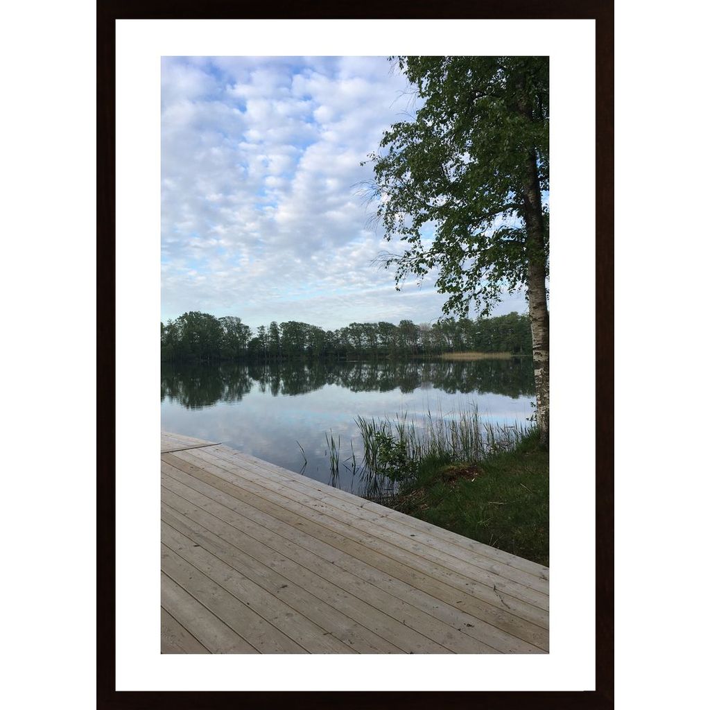 Early Morning By The Lake Collection 3 Poster