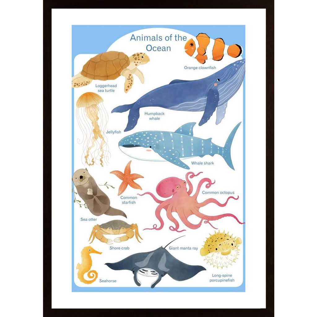 Ocean Animals Plakát